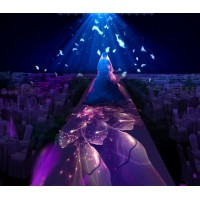 3D全息投影婚禮逐漸成為市場的潮流