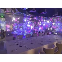 沉浸式全息展示廳 360度幻影成像投影環幕